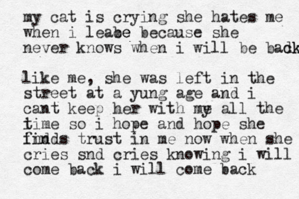 my cat is crying she hates me when i leabe ce because she never knows when i will be badk ck like me, she was left in the street at a yung age and i cant keep her with my e all the i time so i hope and hope she ind finds trust in me now when she cries snd cries knowing i will come back i will come back 
