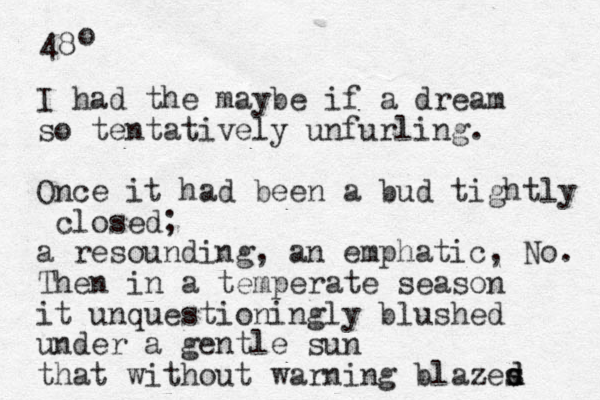 48 o I had the maybe if a dream so tentatively unfurling. Once it had been a bud tightly closed; a resounding, an emphatic, No. Then in a temperate season it unquestioningly blushed under a gentle sun that without warning blazes s d d 