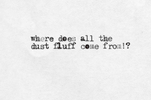 where does all the dust fluff come from!? 