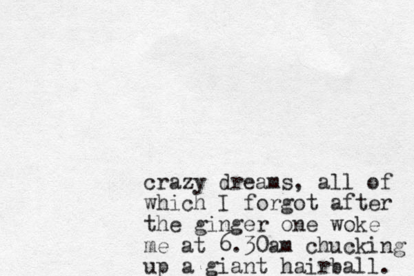 crazy dreams, all of which I forgot after the ginger one woke me at 6.30am chucking up a giant hairball. 