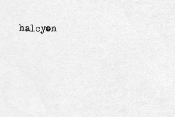 halcyon