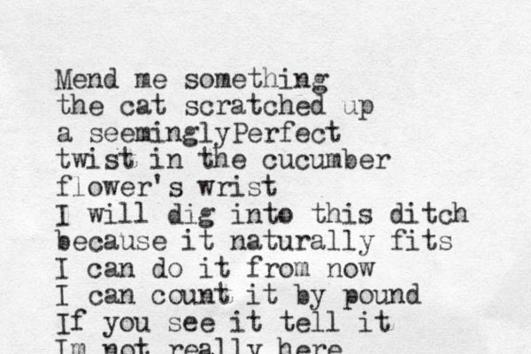 Mend me some thing the cat scratched up a seemingly erfect P twist i n the cucumber flower 's wrist I will dig into this ditch because it naturally fits I can do it from now I can count it by pound If you see it tell it Im not really here 