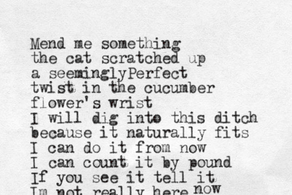 Mend me some thing the cat scratched up a seemingly erfect P twist i n the cucumber flower 's wrist I will dig into this ditch because it naturally fits I can do it from now I can count it by pound If you see it tell it Im not really here now 