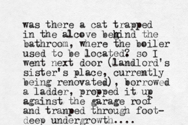 was there a cat trapped in the alcove begi h h nd the bathroom, where the boiler used to be located. ? so I went next door (landlord's sister's place, currently being renovated), borrowed a ladder, propped it up against the garage roof and tranped through foot- deep undergrowth....