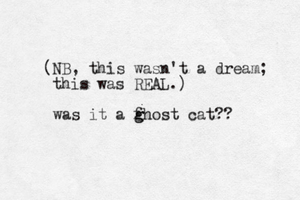 (NB, this wasn't a dream; this was REAL.) was it a f g ghost cat?? 