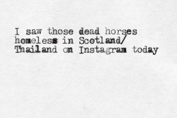 I saw those dead horses homeless in Scotland/ Thailand on Instagram today 