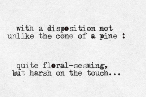 with a disposition not unlike the cone of a pine : quite floral-seeming, but harsh on the touch... 