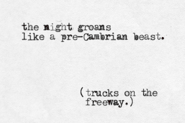 the night groans like a pre-Cambrian beast. (trucks on the freeway.)