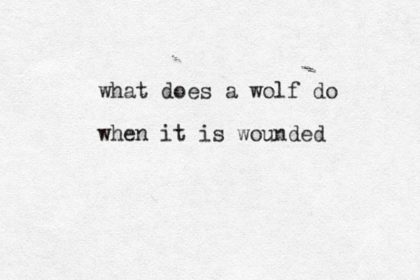 what does a wolf do when it is wounded