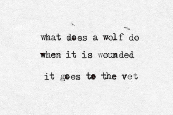 what does a wolf do when it is wounded it goes to the vet