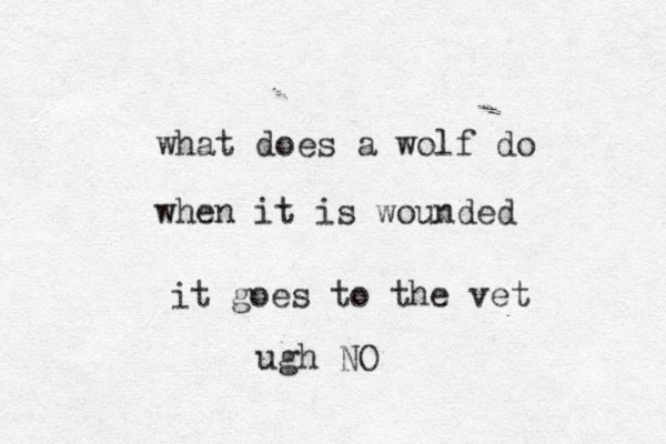 what does a wolf do when it is wounded it goes to the vet ugh NO