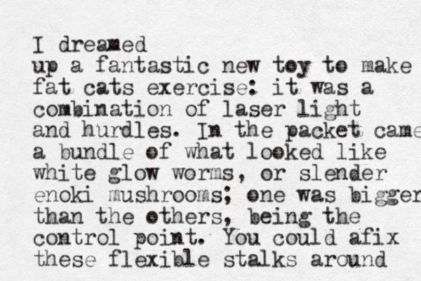 I dreamed up a fantastic new toy to make fat cats exercise: it was a combination of laser light and hurdles. In the packet came a bundle of what looked like white glow worms, or slender enoki mushrooms; one was bigger than the others, being the control point. You could afix these flexible stalks around 