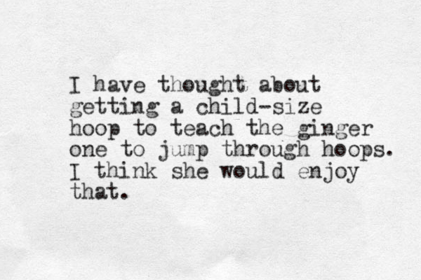 I have thought about getting a child-size hoop to teach the ginger one to jump through hoops. I think she would enjoy that.