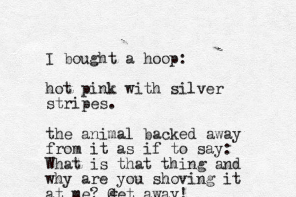I bought a hoop: hot pink with silver stripes. the animal backed away from it as if to say: What is that thing and why are you shoving it at me? get G away! 
