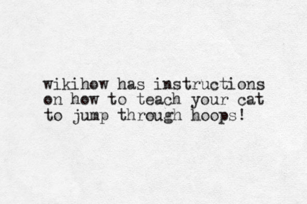 wikihow has instructions on how to teach your cat to jump through hoops! 