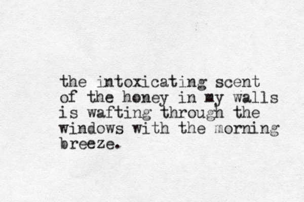 the intoxicating scent of the honey in my walls is wafting through the windows with the morning breeze. 