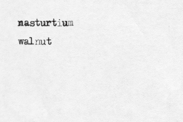 nasturtium walnut