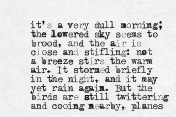 it's a very dull morning, ; the lowered sky seems to brood, and the air is close and stifling: not a breeze stirs the warm air. It s tormed briefly in the night, and it may yet rain again. But the birds are atill s s twittering and cooing nearby, planes 