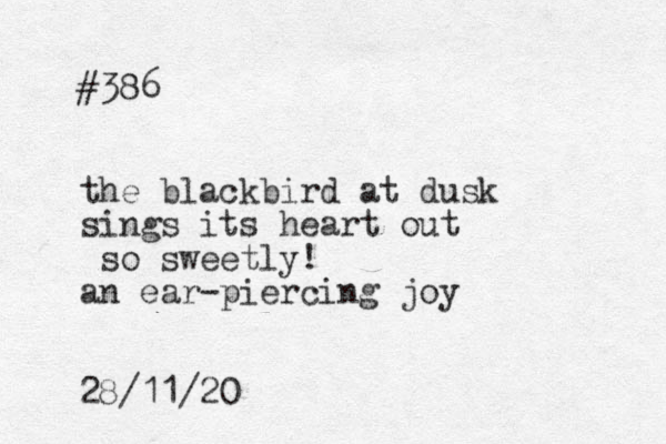 #386 the blackbird at dusk sings its heart out so sweetly! an ear-piercing joy 28/11/20