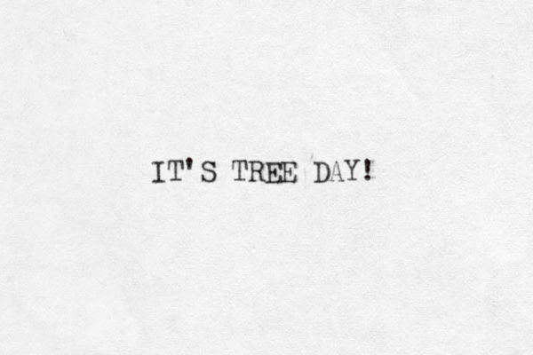IT'S TREE DAY!