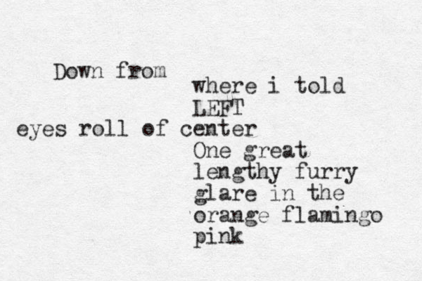 Down from where i told LEFT eyes roll of center One great lengthy furry glare in the orange flamingo pink