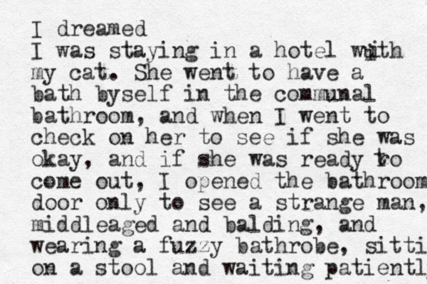 I dreamed I was staying in a hotel wuth my cat. She went to have a bath byself in the communal bathroom, and when I went to check on her to see if she was okay, and if she was ready ro come out, I opened the bathroom door only to see a strange man, middleaged and balding, and wearing a fuzzy bathrobe, sitti on a stool and waiting patiently i i t 