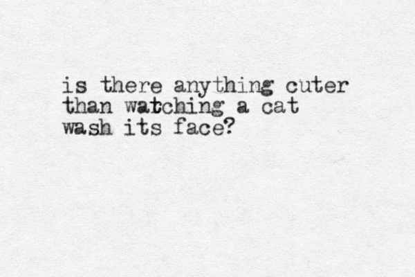 is there anything cuter than war t tching a cat wash its face? 