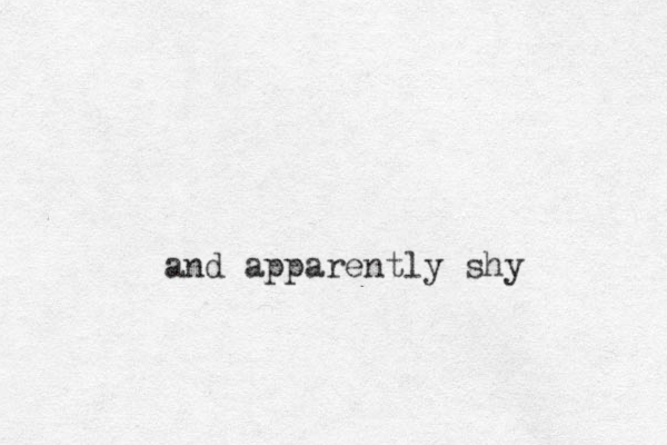 and apparently shy