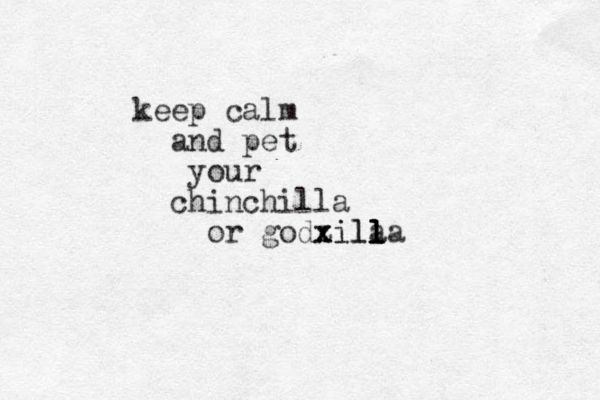 keep calm and pet your chinchilla or godxilla z z x zila l l l