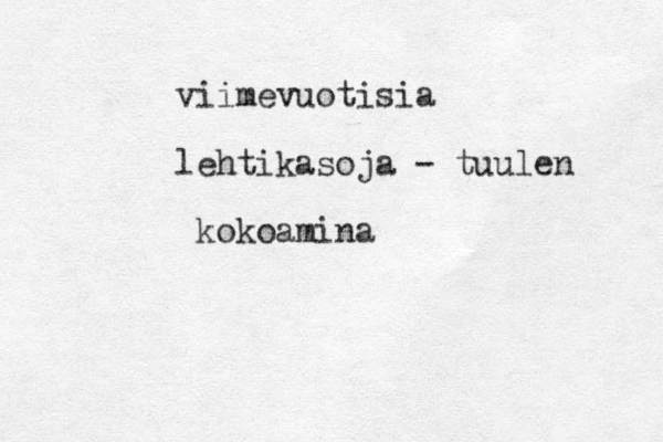 viimevuotisia lehtikasoja - tuulen kokoamina 