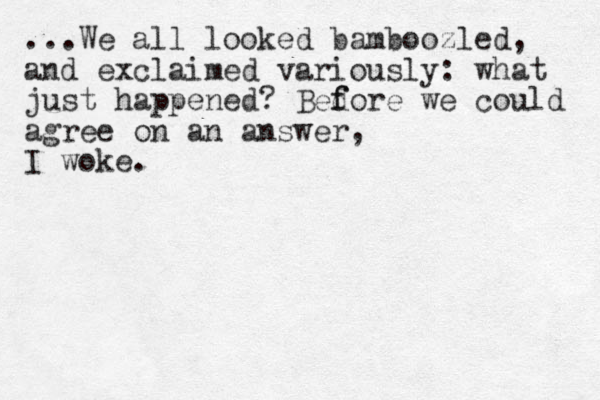 ...We all looked bamboozled, and exclaimed variously: what just happened? Bedore f f we could agree on an answer, I woke.