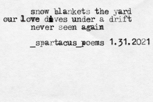 snow blankets the yard our love doves i i i i under a drift never seen again _spartacus_poems 1.31.2021 
