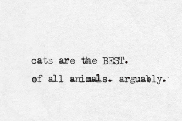 cats are the BEST. of all animals. arguably. 