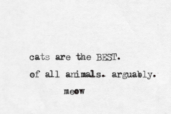 cats are the BEST. of all animals. arguably. meow