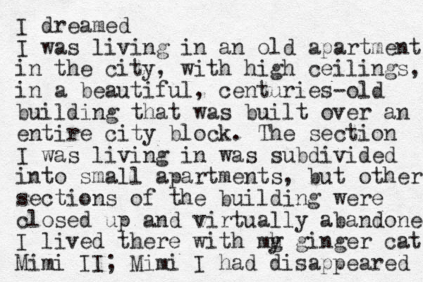 I dreamed I was living in an old apartment in the city, with high ceilings, in a beautiful , centuries-old building that was built over an entire city block. The section I was living in was subdivided into small apartments, but other sections of the building were closed up and virtually abandoned I lived there with mg y h ginger cat Mimi II; Mimi I had disappeared 