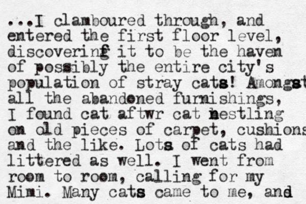 ...I clamboured through, and entered the first floor level, discoverinf it g f to be the haven of possibly the entire city's population of stray cata s s s! Amongat all the abandoned furnishings, I found cat aftwr cat bestling n n on old pieces of carpet, cushions and the like. Lota s s of cats had littered as well. I went from room to room, calling for my Mimi. Many cata s s came to me , ans d d s s s 