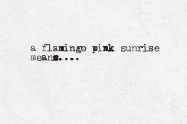 a flamingo pink sunrise means....