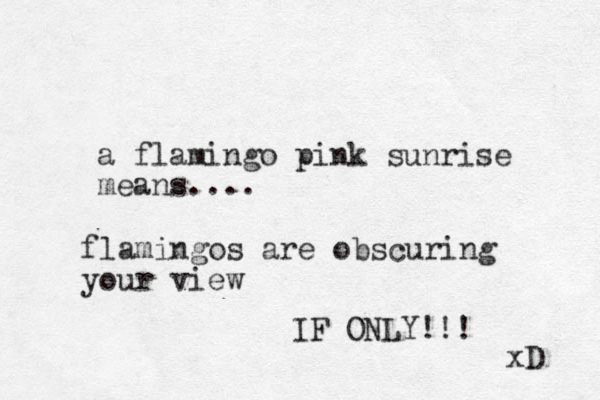 a flamingo pink sunrise means.... flamingos are obscuring your view IF ONLY!!! xD 