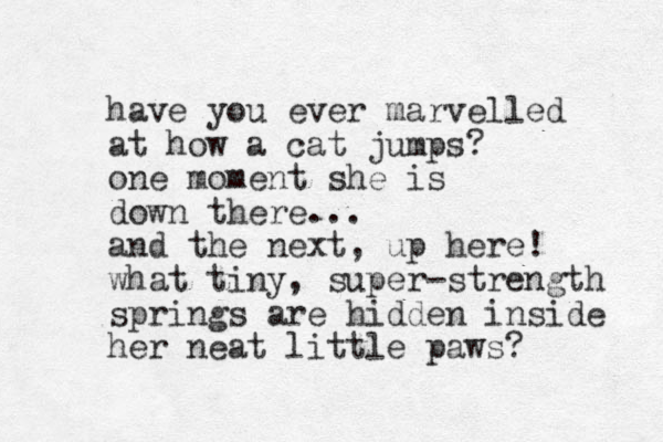 have you ever marvelled at how a cat jumps? one moment she is down there... and the next, up here! what tiny , super-strength springs are hidden inside her neat little paws? 