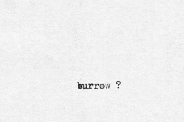 burrow ?