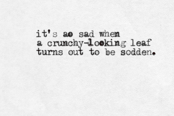 it's ao sad when a crunchy-looking leaf turns out to be sodden. 