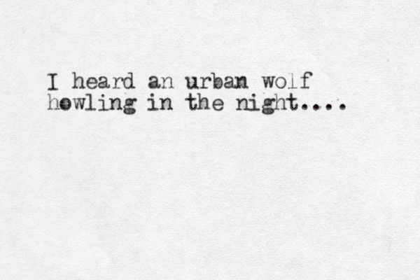I heard an urban wolf howling in the night.... 