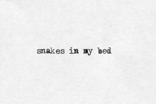 snakes in my bed 
