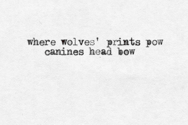 where wolves ' prints pow canines head bow 