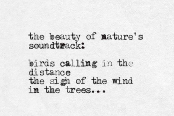 the beauty of nature's soundtrack: birds calling in the distance the sigh of the wind in the trees...