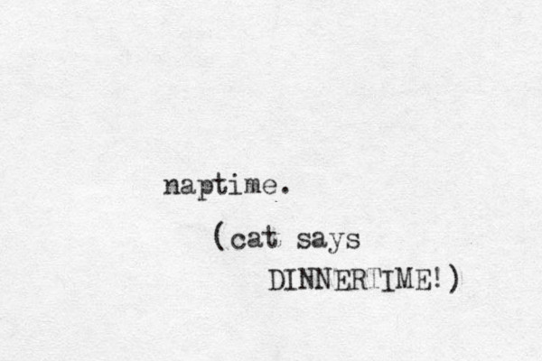 naptime. cat says DINNERTIME! ) ( 