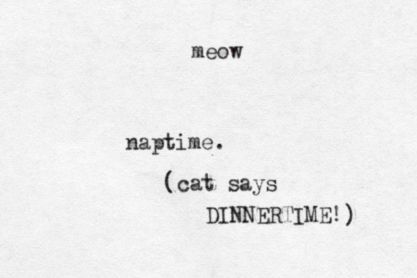 naptime. cat says DINNERTIME! ) ( meow