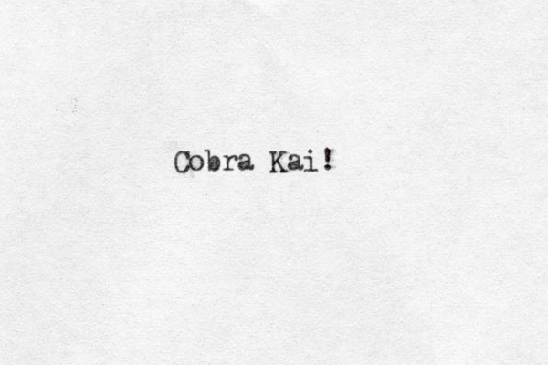 Cobra Kai! 