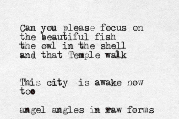 Can you please focus on the beautiful fish the owl in the shell and that Temple walk This cuty i i is awake now too angel angles in raw forms 