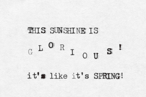THIS SUNSHINE IS G L O R I O U S ! it's like it's SPRING! 